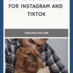 240+ Dog Captions for Instagram and Tiktok