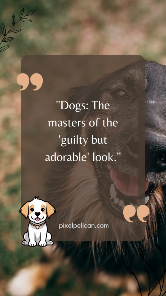 "Dogs: The masters of the 'guilty but adorable' look."