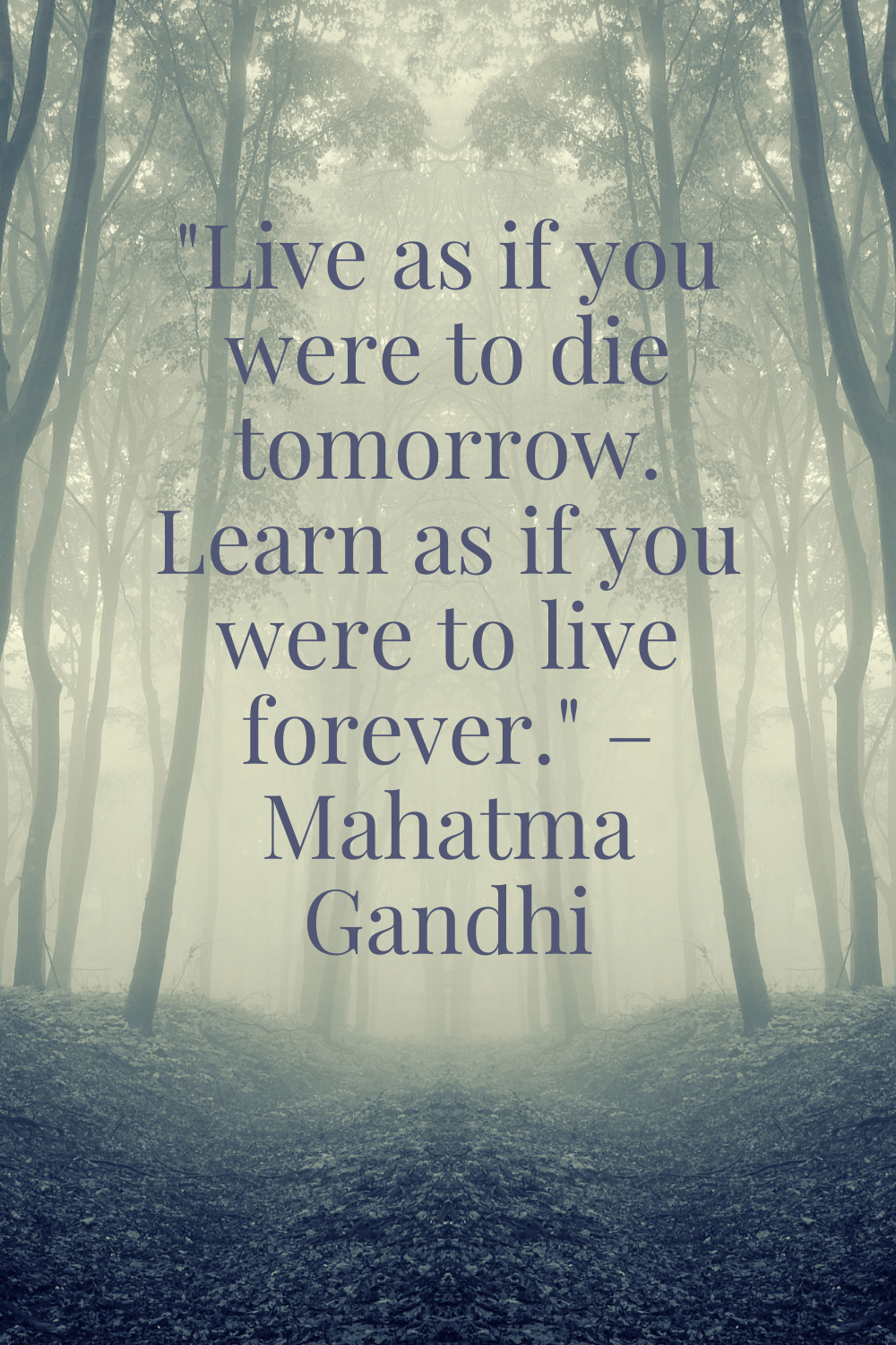 170+ Homework Quotes For Students Needing Motivation | Pixel Pelican